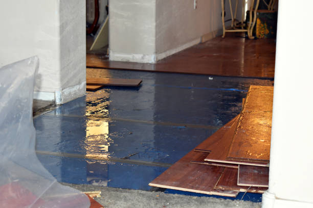 Professional Burst Pipe Cleanup technician working in Colbert, WA