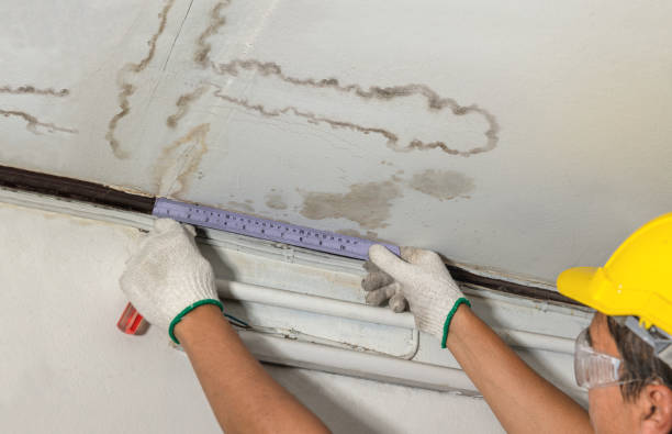 Reliable Burst Pipe Cleanup contractor in Colbert, WA by Water Damage Irwin